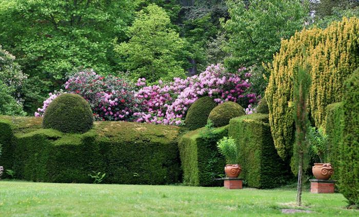The Croquet Lawn